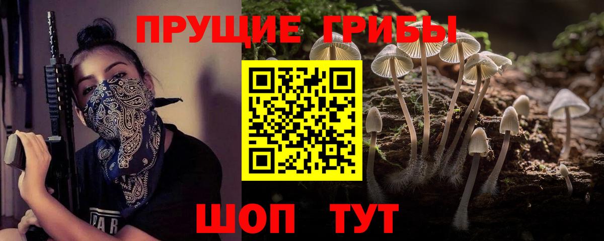 Псилоцибиновые грибы Cubensis  Вход с VPN  Галлюциногенные грибы Cubensis  Саров 