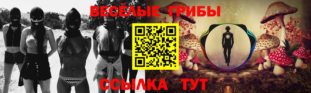 Псилоцибиновые грибы мухоморы Саров